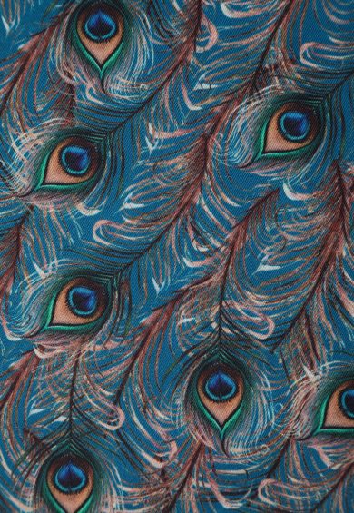 Darlene 50's Style Swing Dress in Blue & Peacock Feather Print – Dresses | Kitty Darling