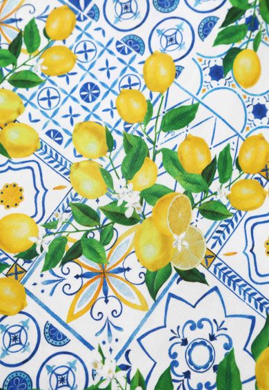 Penelope II Light Blue Rockabilly Mediterranean Lemon Print Shirt Dress – Dresses | Kitty Darling