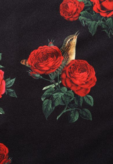 Billie Long Sleeved Dress in Black & Red Rose Print – Dresses | Kitty Darling