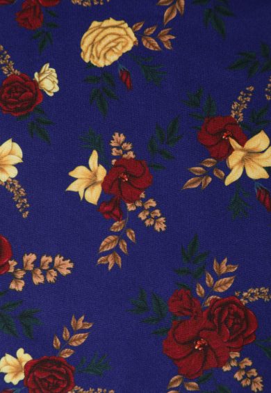 Billie Blue Long Sleeved Red Rose Print Flared Dress – Dresses | Kitty Darling