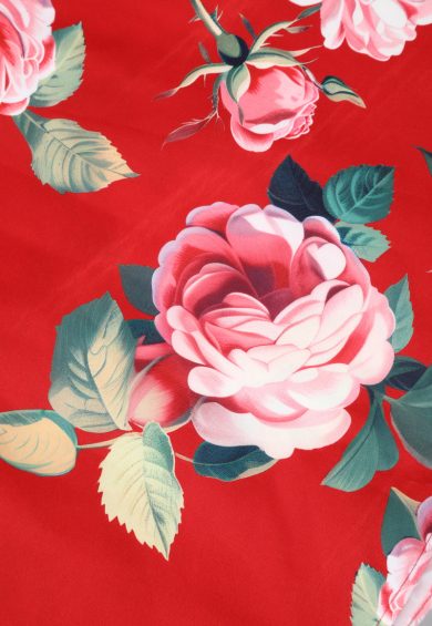 Lily Scarlet Rose Vintage Swing Dress – Dresses | Kitty Darling