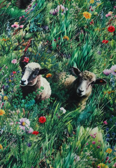 Lily Sky Blue Off Shoulder 50s Inspired White Cloud & Sheep Print Dress – Dresses | Kitty Darling