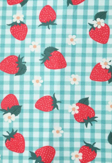 Julia Light Green 50s Style Strawberry/Checkered Print Swing Dress – Dresses | Kitty Darling