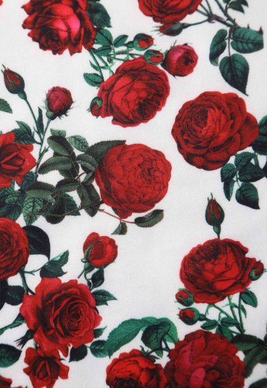 Amanda Cotton White Scoop Neck Red Rose Print Swing Dress – Dresses | Kitty Darling