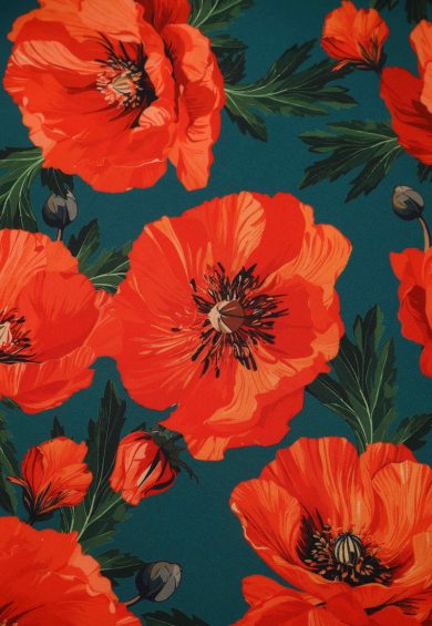 Beverly Green Cross-Over-Off-Shoulder Orange Poppies Midi Dress – Dresses | Kitty Darling