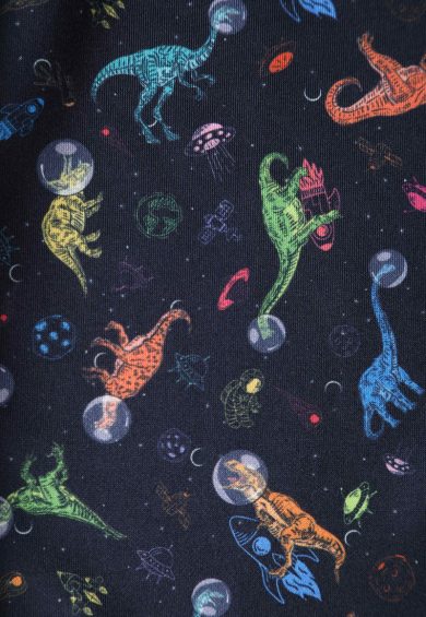 Amanda Dinosaur In Space Flared Dress – Dresses | Kitty Darling