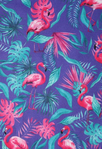 Amanda Purple Flamingo Flared Dress – Dresses | Kitty Darling