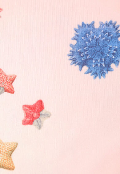 Amanda Blue Vintage White Shore Print Swing Dress – Dresses | Kitty Darling