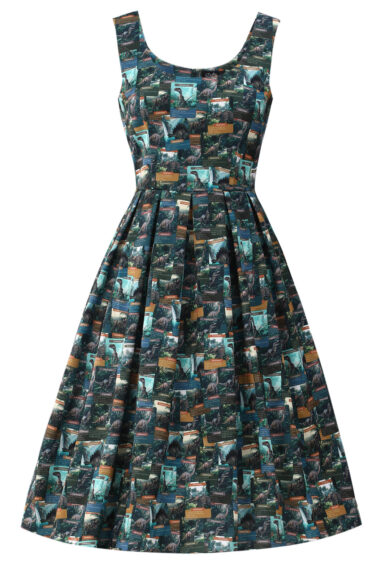 Amanda Green Dino Flash Card Print Swing Dress – Dresses | Kitty Darling