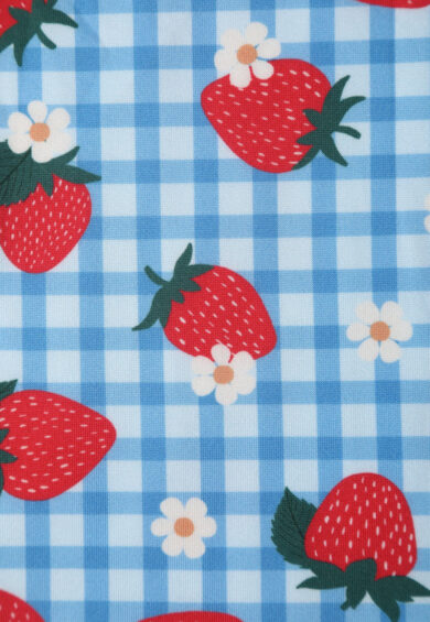 Lily Summer Strawberry Blue Gingham Dress – Dresses | Kitty Darling