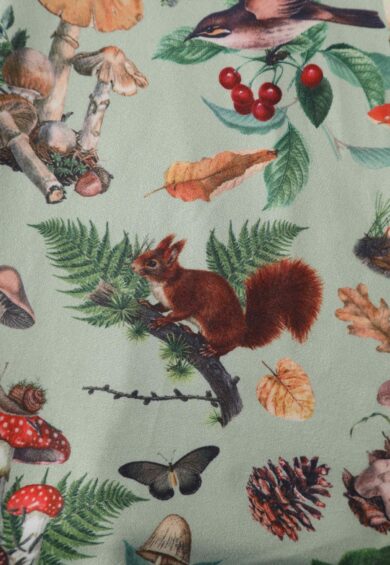 Claudia Cap Sleeved Dress in Mushroom, Squirrels Forest Print – Dresses | Kitty Darling