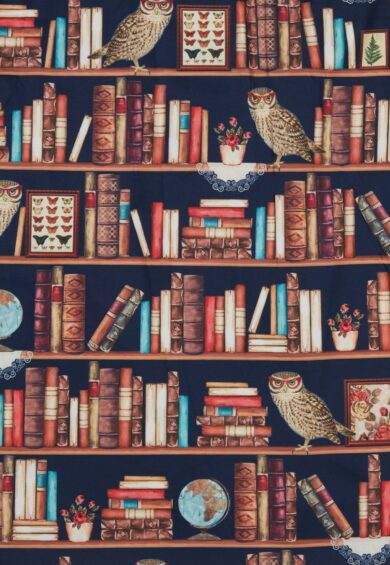 Amanda Library Book & Owl Swing Dress – Dresses | Kitty Darling