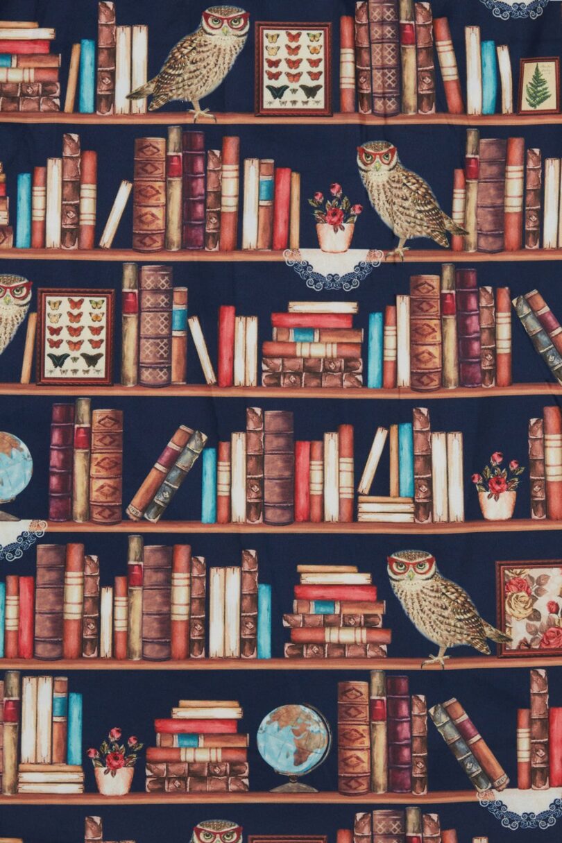 Amanda Library Book & Owl Swing Dress  Shop now at Kitty Darling