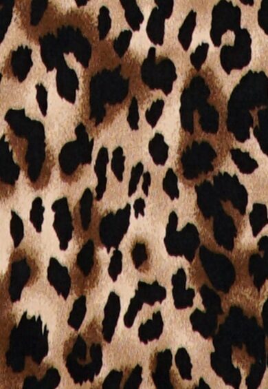 Penelope Rockabilly Leopard Print Shirt Dress – Dresses | Kitty Darling