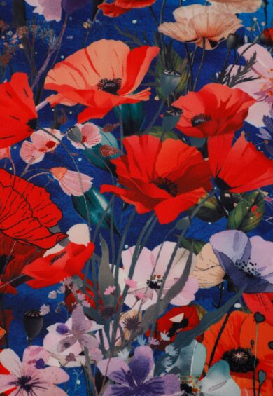 Aisley Black Cat Midnight Garden Pleated Midi Skirt – Skirt | Kitty Darling