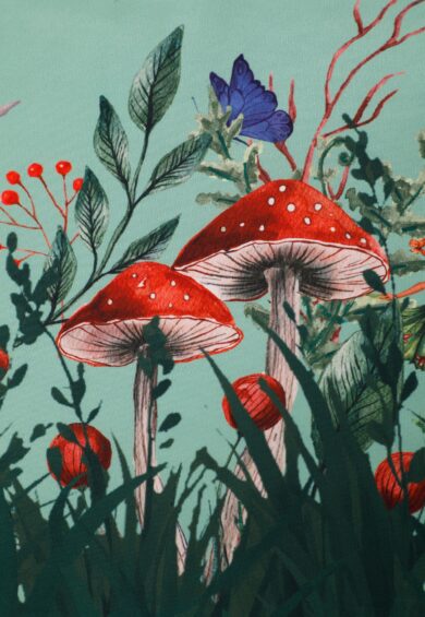 Aisley Fairy Land Pleated Midi Skirt – Skirt | Kitty Darling