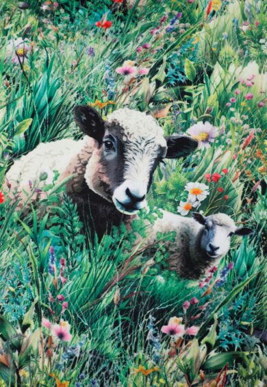 Aisley Sheep Field Pleated Midi Skirt – Skirt | Kitty Darling