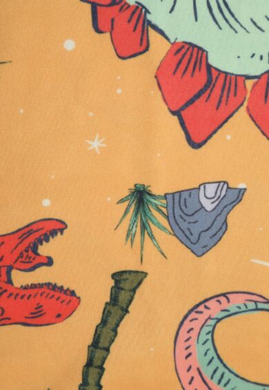 Amanda Turquoise Dinosaur World Print Swing Dress – Dresses | Kitty Darling