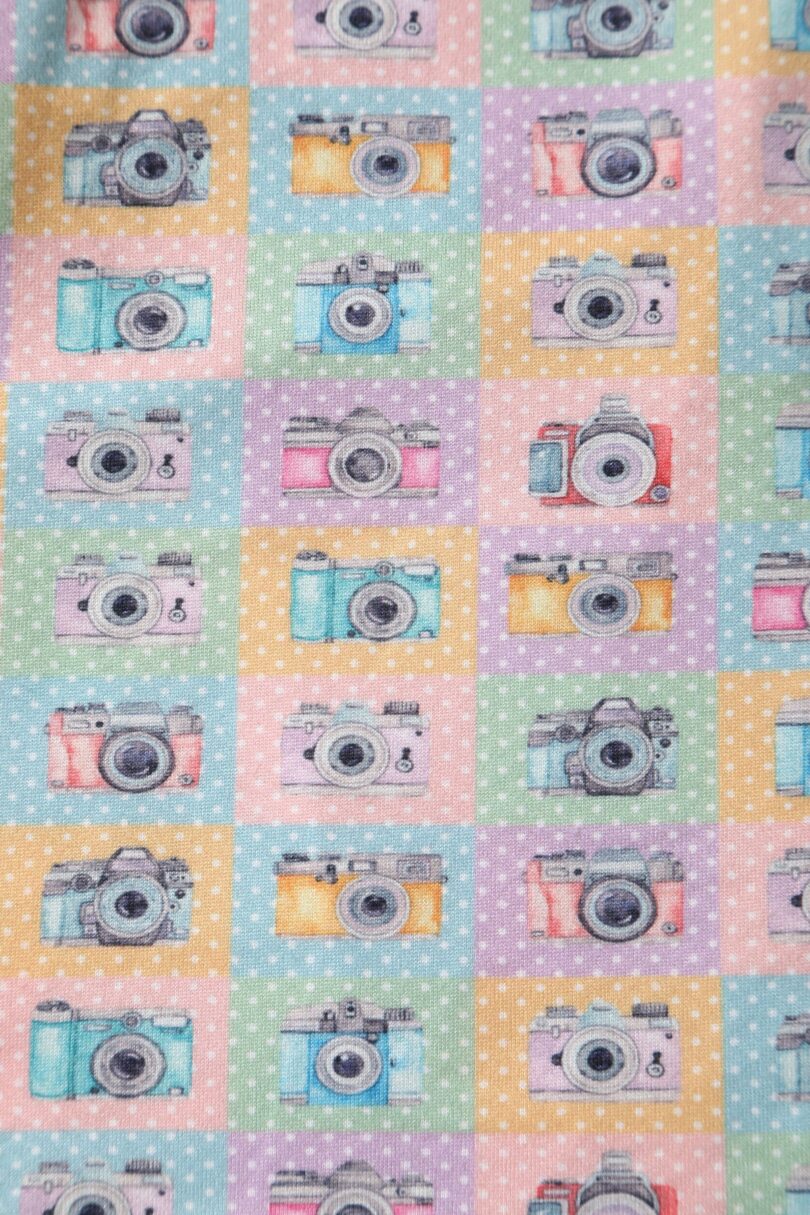 Julia Multicolor 50s Style Camera Print Swing Dress  Shop now at Kitty Darling