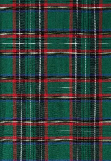 Lily Green Tartan Off Shoulder Swing Dress – Dresses | Kitty Darling