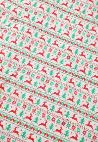 Mabel Christmas Reindeer Shirt Dress – New In | Kitty Darling