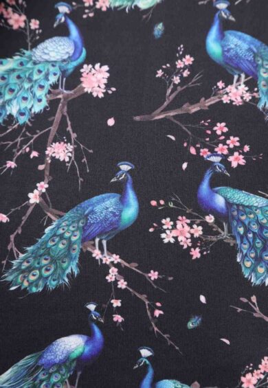 Amanda Flared Black Peacock Celebration Dress – New In | Kitty Darling