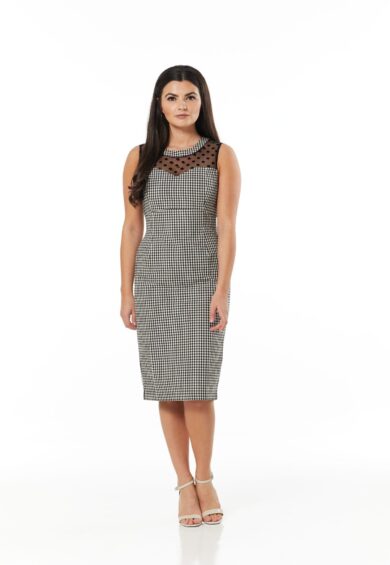 Erika Gingham Dress – 50s Dresses, Dresses | Kitty Darling