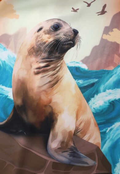 Aisley Seal At Sunset Box Pleated Skirt – New In | Kitty Darling