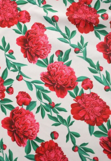 Aisley White Vintage Rose Box Pleated Skirt – New In | Kitty Darling