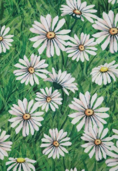 Amanda White Raising Daisy Fit-and-Flare Dress – New In | Kitty Darling