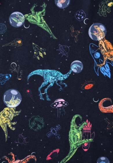 Billie Dinosaur in Space Long Sleeved Dress – New In | Kitty Darling