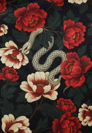 Lily Black Rockabilly Snake & Rose Off Shoulder Dress – New In | Kitty Darling