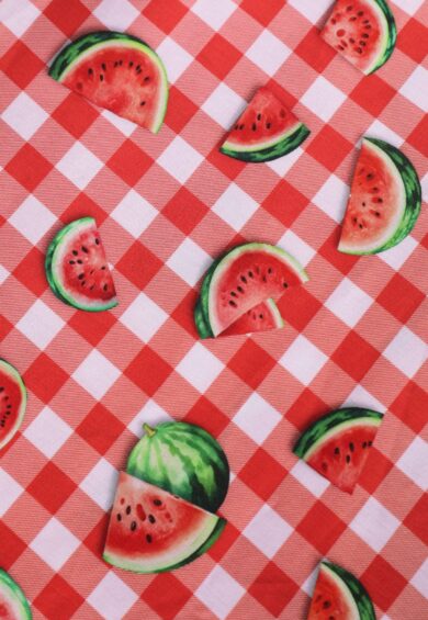 Lily Watermelon Gingham Off Shoulder Dress – Just Landed | Kitty Darling