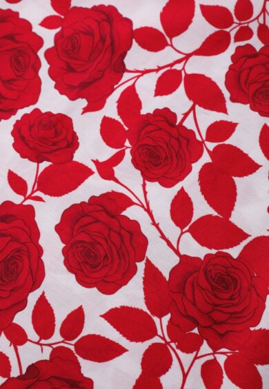 Lily White Red Shadow Rose Off Shoulder Dress – New In | Kitty Darling