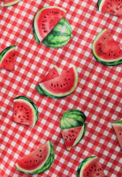 Mabel Watermelon Gingham Midi Shirt Dress – New In | Kitty Darling