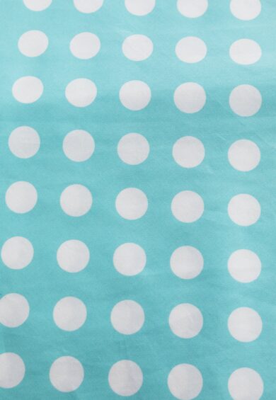 Maisie Mint Green Polka Dot Full Circle Midi Skirt – New In | Kitty Darling