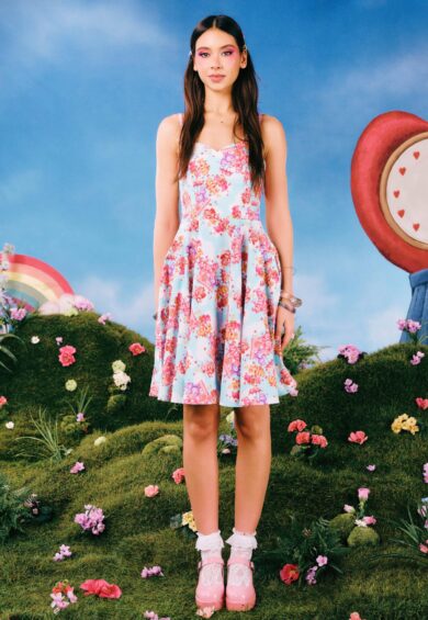 Picnic Bear Knee Dress – New In | Kitty Darling