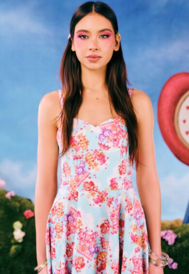 Picnic Bear Knee Dress – New In | Kitty Darling